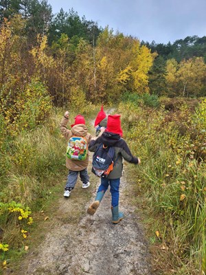 D31F5FE795E34B93A4CCD3DEF0A121C5