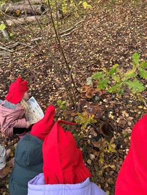 9800278DCFCD4A7EAF0C3DE5F88C5E29